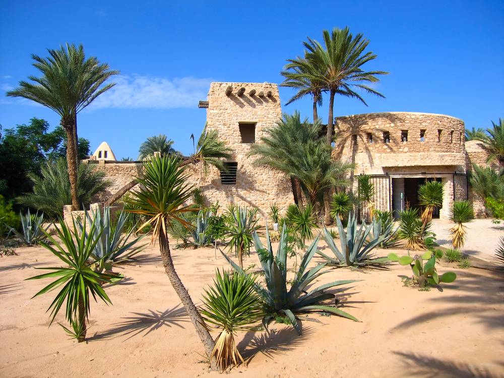 Djerba: jemný piesok Sidi Mahres, trhy Houmt Souk a synagóga El Ghriba