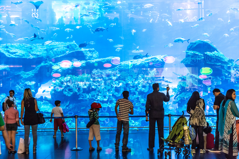 Dubaj Mall dubaj-mall