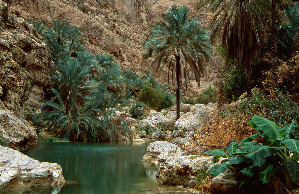 Wadi-Shab