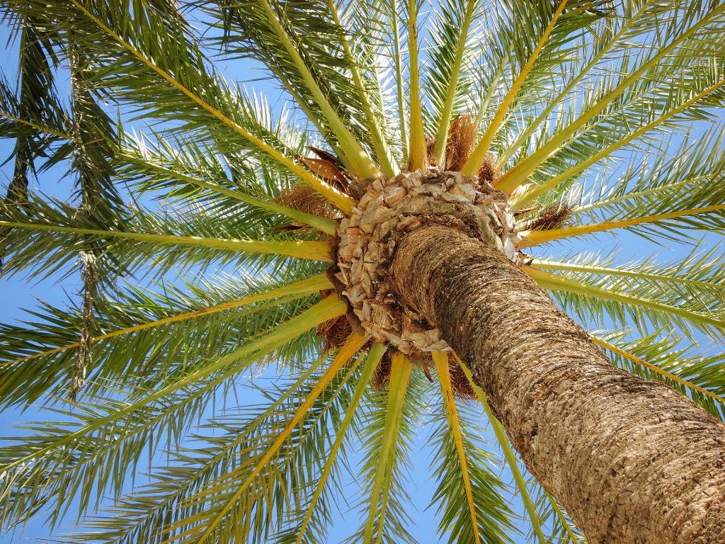 Costa del Sol – turistický sprievodca na dovolenku