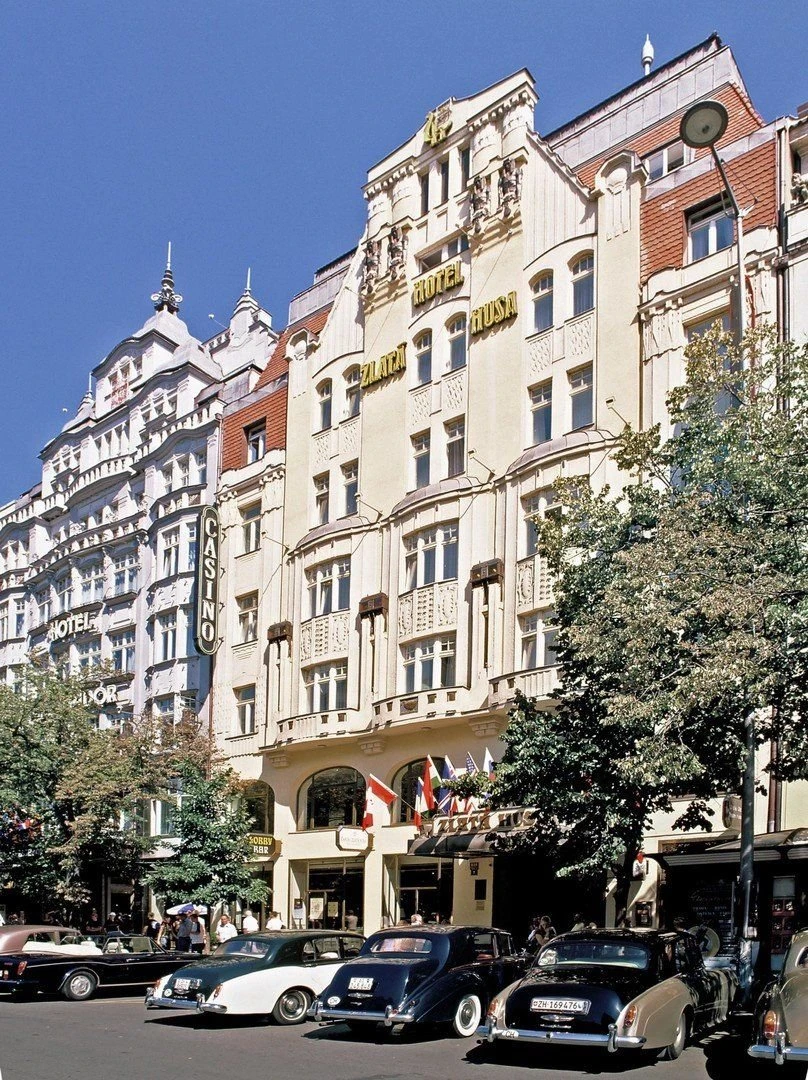 Ambassador – Zlatá Husa