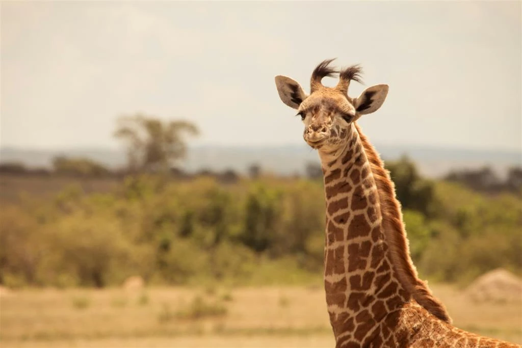 Pôsobivá Keňa – Srdce Afriky