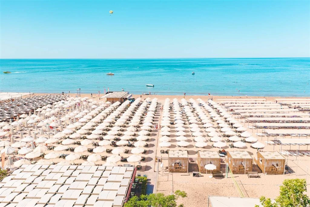 Trendy Verbena Beach